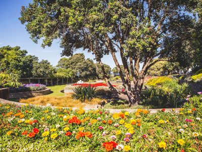 Napier-Marine-Parade-Sunken-Gardens