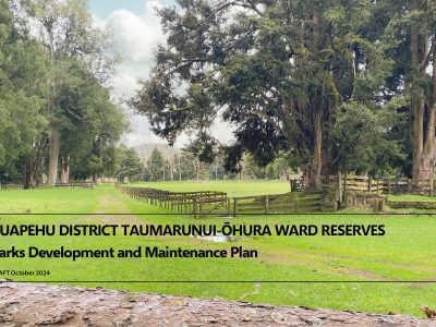 Taumarunui-Ohura-Ward-Reserves