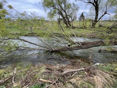 1ABDC22D-BEB0-4AB2-A15F-04CFA2C85A1D_1_201_a-scaled