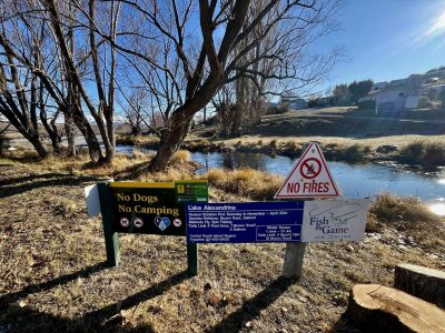 221FE045-2C95-4385-98CB-B64780522F0E_1_201_a-scaled