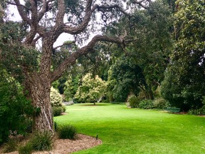 City-of-Greater-Geelong