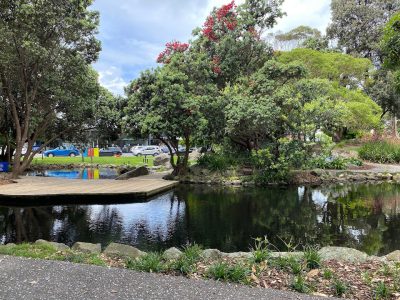 Coronation-Park-Pond-Image