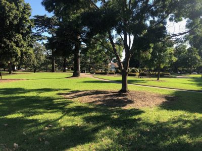 IMG_0354_Eykolina-Benny-scaled