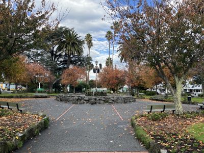 IMG_1608_Jane-Wright