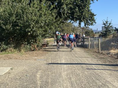 IMG_1866-copy_Alison-Rawley-scaled