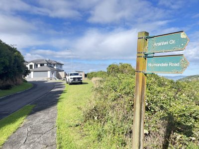 IMG_24242_Jane-Wright-scaled