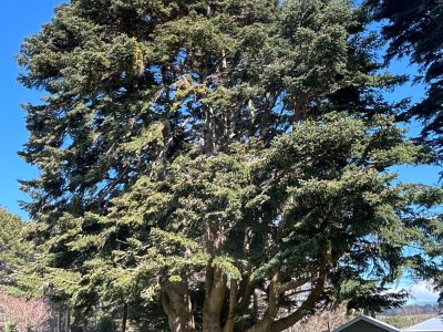 IMG_3848_Charlotte-Blakey-scaled