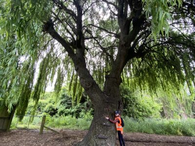 IMG_4905_Alison-Rawley-scaled