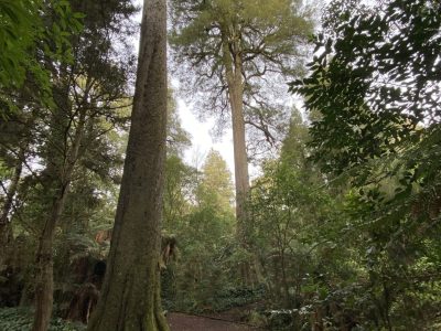 IMG_7158_Eric-Hamilton-scaled