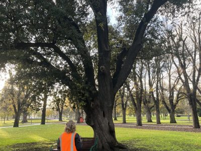 IMG_7740_Mark-Corea-scaled