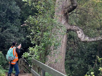 John-William-Hall-Arboretum