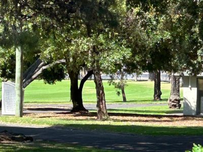 Maribyrnong-City-Council-Parks-Operational-Review