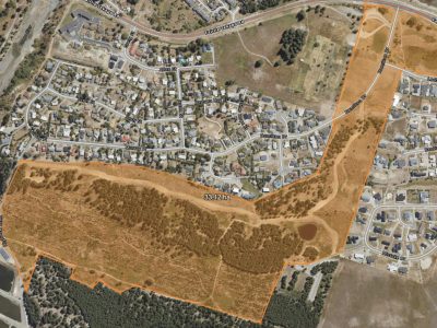 Rabbit-Control-Area241-scaled