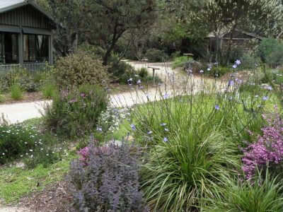 Yarra-Ranges-Council-Review-of-service-standards