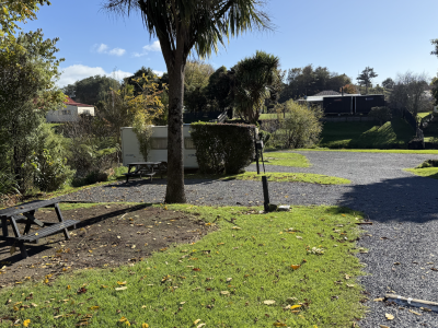 waititi_Paul-Wilson-scaled